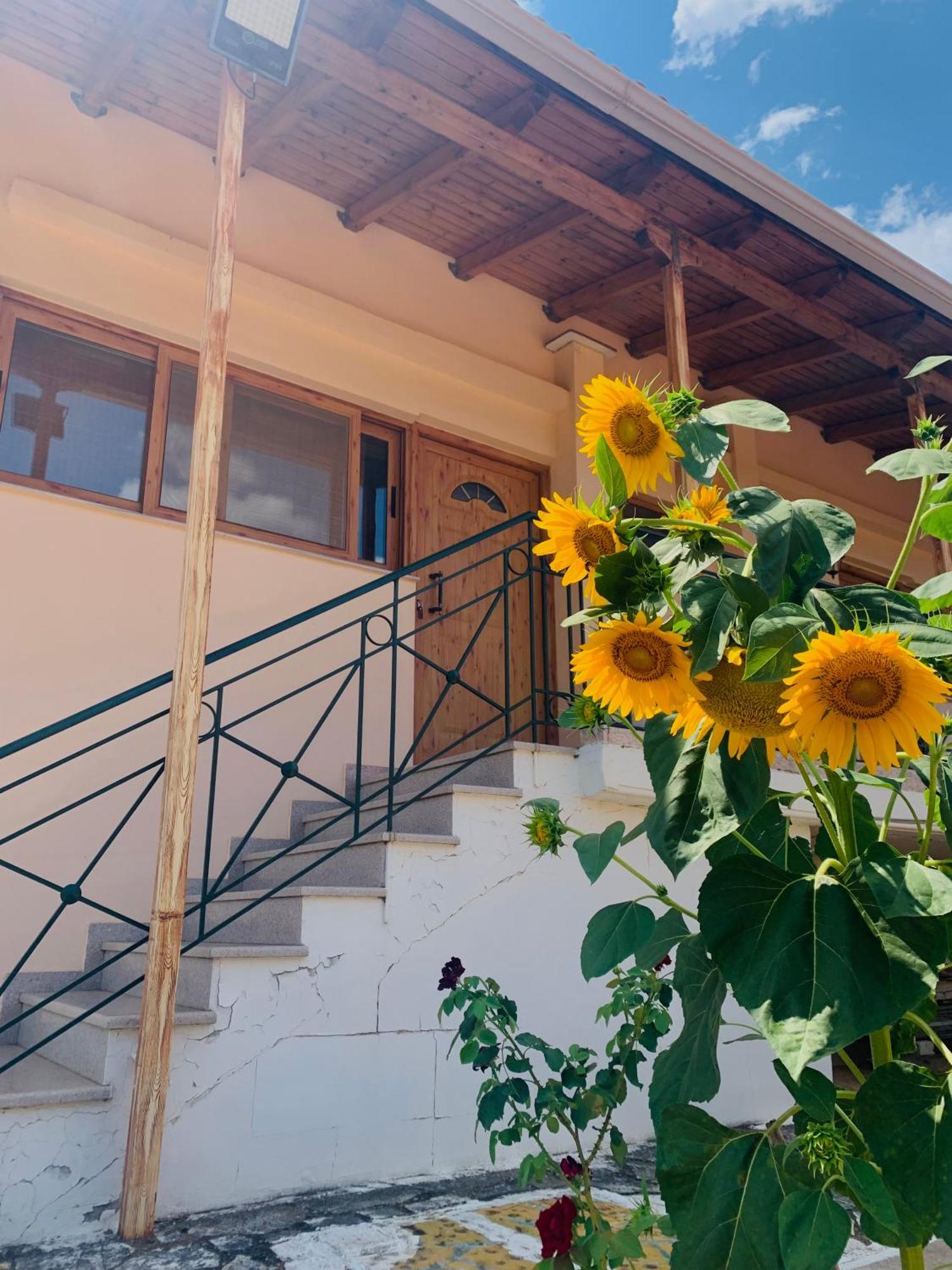Bokas Exotic House Lägenhet Tragana  Exteriör bild
